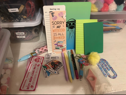 Bookish Bundles – Curated Literary Mystery Box | SheBelieves Co.